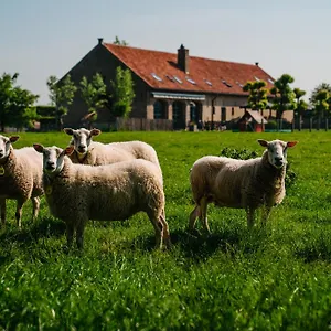 https://hoevehotel-ter-haeghe.ostend-hotel.net